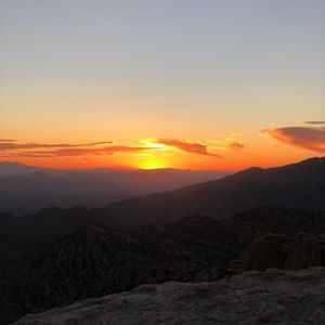 Meet your Posher, Taryn